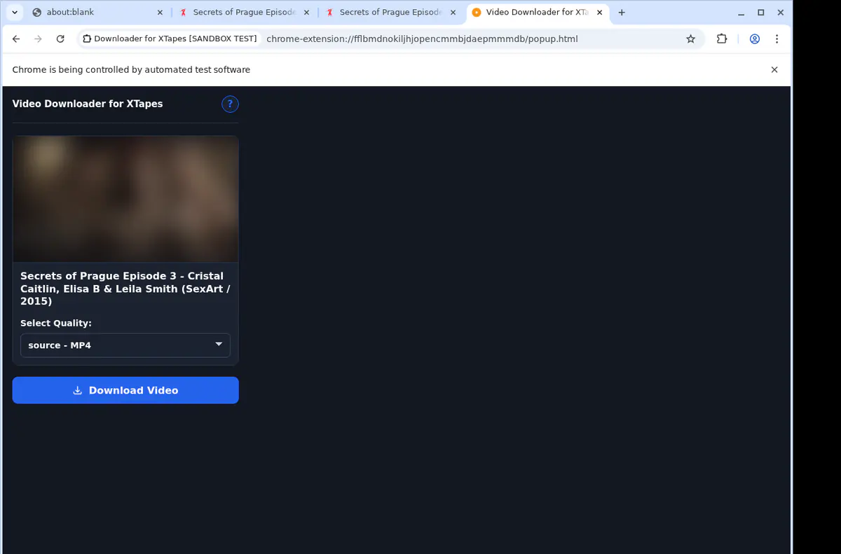 Xtapes Video Downloader browser extension screenshot 4